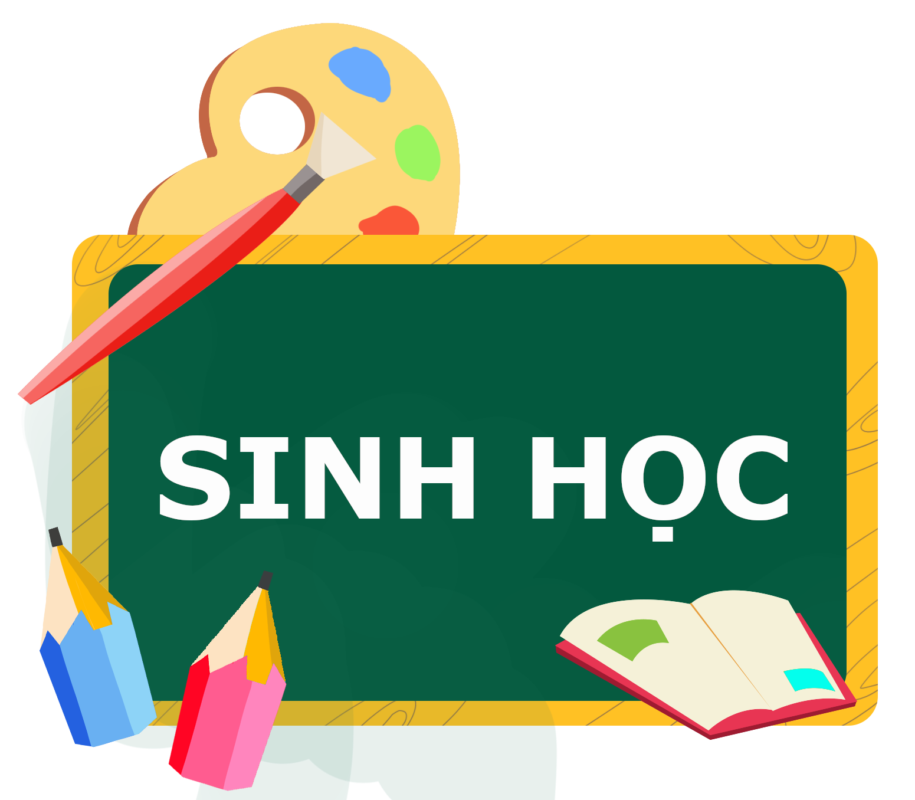 Sinh Học 11